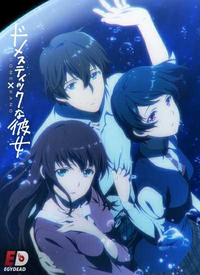 مشاهدة انمي Domestic na Kanojo الحلقة 9
