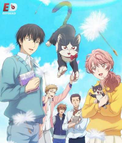 انمي Doukyonin wa Hiza Tokidoki Atama no Ue الحلقة 2